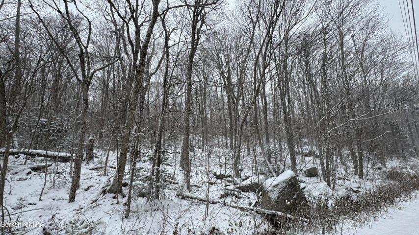 0 Bergrucken Ln, Readsboro, VT 05350 - photo 1