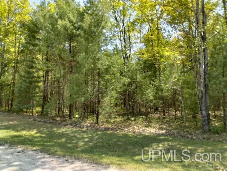 10451 Breezy R 22 Ln, Rapid River, MI 49878 - photo 1