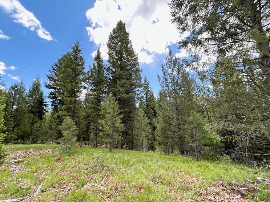 Lot 31 Sawtooth Loop unit Lot 31, Cascade, ID 83611 - photo 1