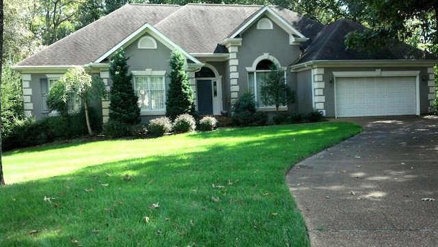Main View
