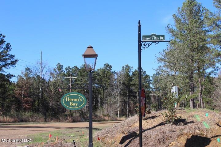 228 Heron's Bay Cir, Madison, MS 39110 - photo 1