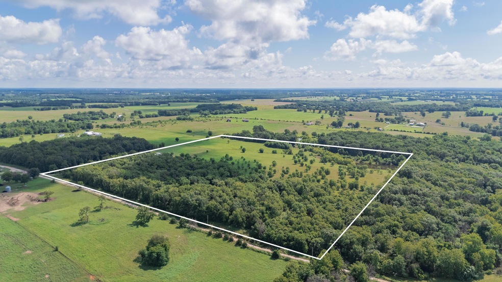 Aerial2