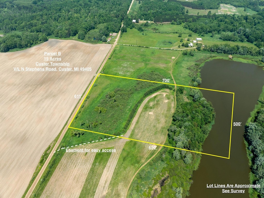 Parcel B N Stephens Rd, Custer, MI 49405 - photo 1