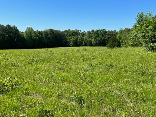 View of land