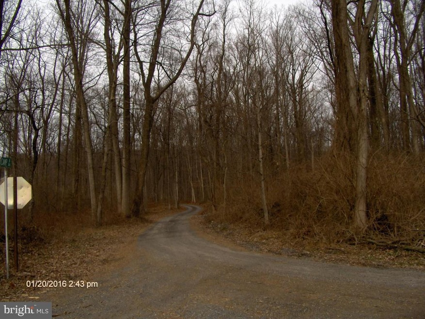 0 Corner of Camp unit 1002733125, Stevens, PA 17578 - photo 1