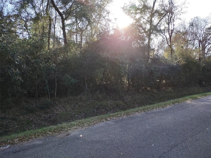 00 Seminole, Magnolia, TX 77354 - photo 1