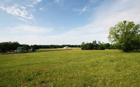 LOT12 Mandiba Dr, Lake City, FL 32025 - photo 1