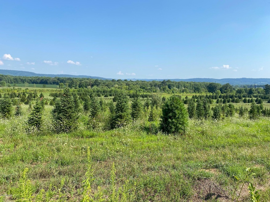0 Lime Bluff Rd, Hughesville, PA 17737 - photo 1