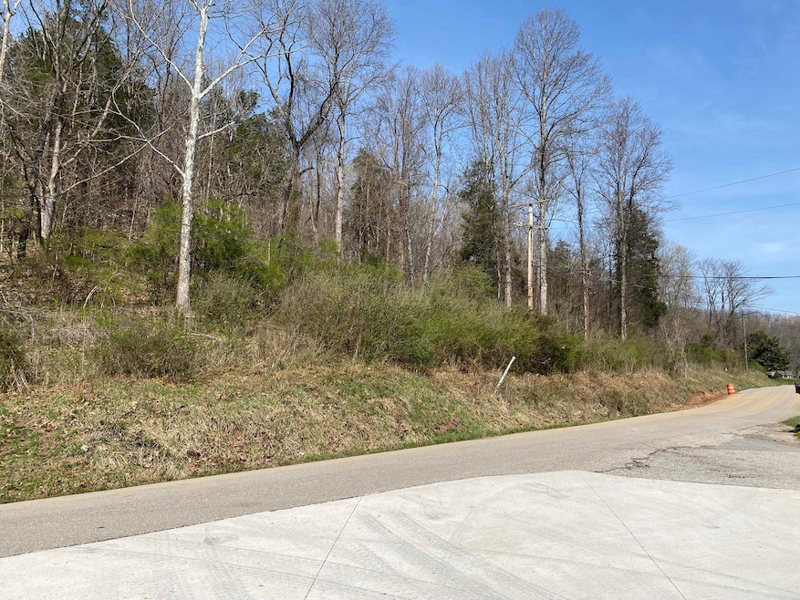 5031 Lynn Creek Rd, Lavalette, WV 25535 - photo 1