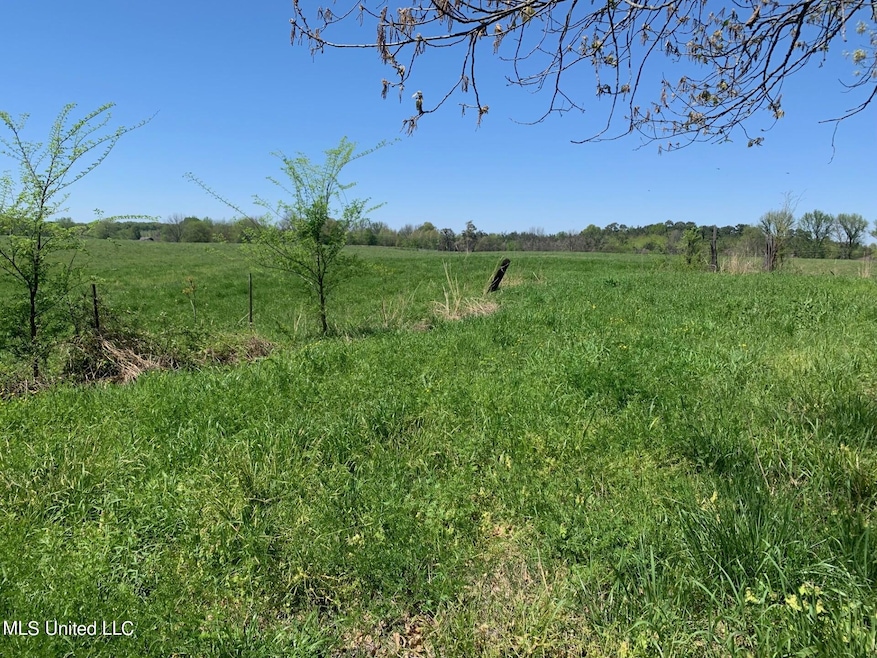 9 Baldwin Rd, Hernando, MS 38632 - photo 1