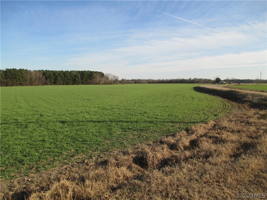 0000 Griffin, Prince George, VA 23805 - photo 1