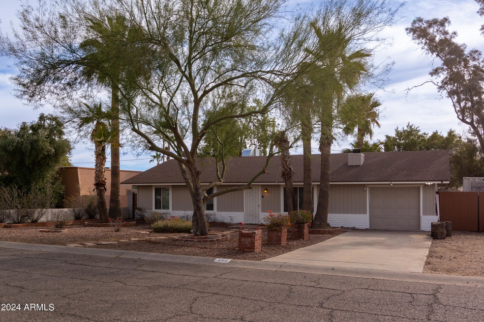 Desert Cactus Dr (1).jpg-FULL