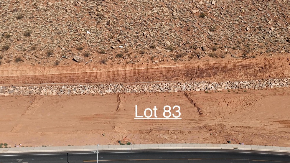 Lot 83
