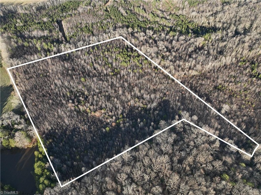 0 Old Bachelor Creek Rd, Seagrove, NC 27341 - photo 1