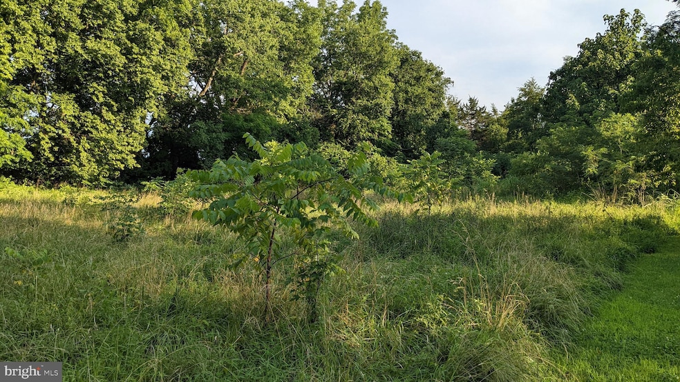 0 Twymans Mill Rd unit VAMA2000686, Orange, VA 22960 - photo 1