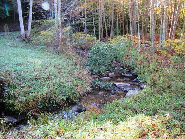 Old Laurel Creek