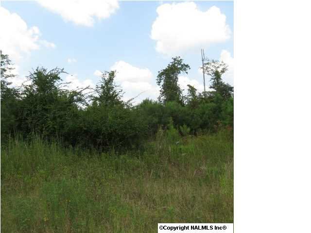 0 Shields Ave, Rainbow City, AL 35906 - photo 1