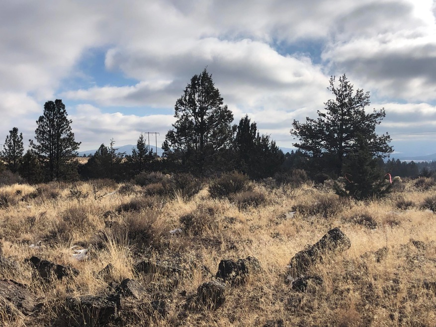 Sold $6,500 • Co-Listing Agent