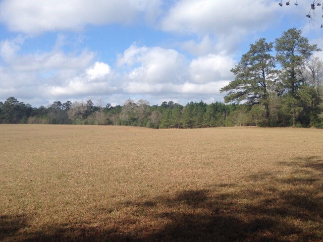 4025 Martin Rd, McComb, MS 39648 - photo 1