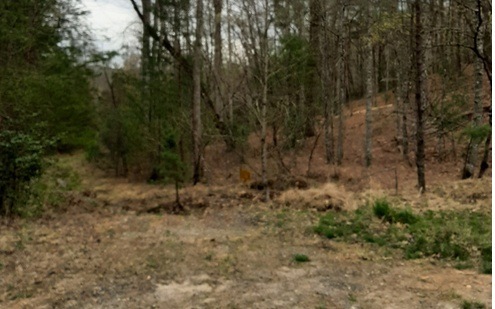 LT 6 Peter Knob Rd, Blue Ridge, GA 30513 - photo 1