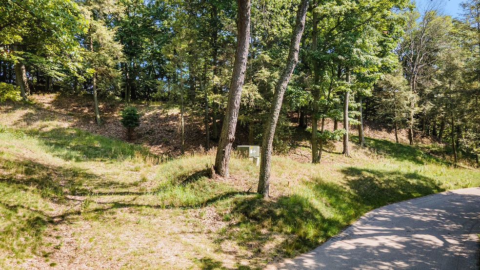 Lot 4 from the Roadway