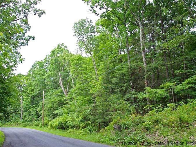 T/B/D Rokeby Rd, Red Hook, NY 12571 - photo 1