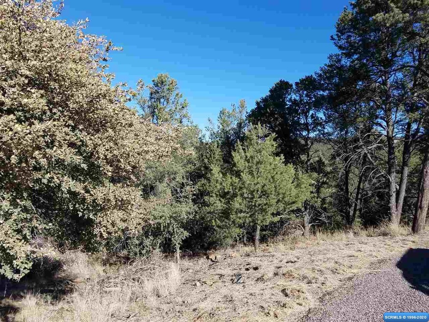 56 Vesuvius Way, Silver City, NM 88061 - photo 1