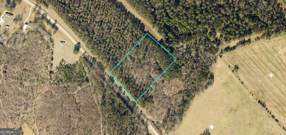 LOT 4 Elberton Hwy, Lincolnton, GA 30817 - photo 1