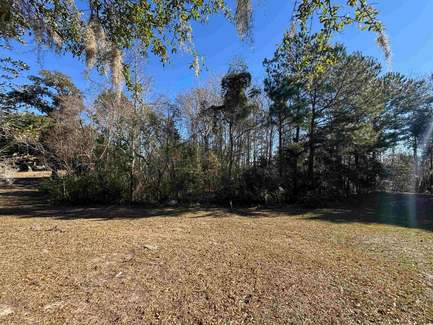 437 Rosebank Rd unit Lot 108, Georgetown, SC 29440 - photo 1