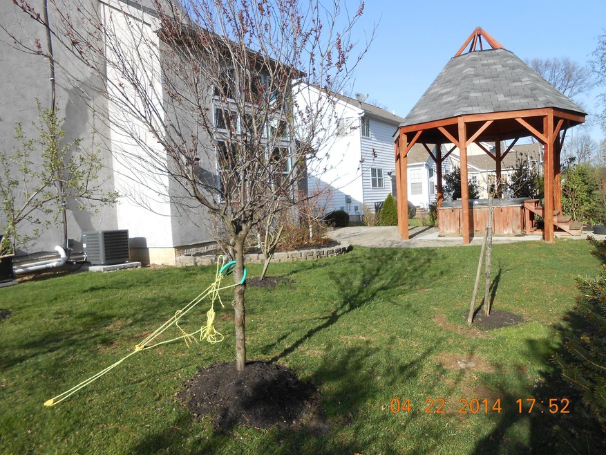 BEAUTIFUL CUSTOM PATIO WITH GAZEBO