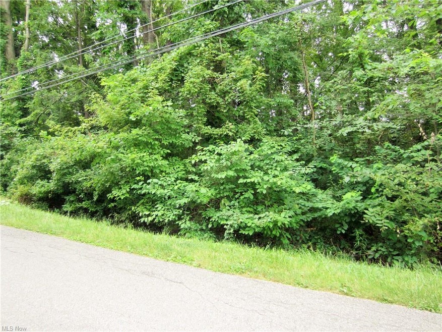 0 Richelieu Ave unit 4084208, Sheffield Lake, OH 44054 - photo 1