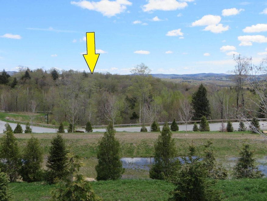 0 New Mirror Lake Village unit 4796590, Wilmington, VT 05363 - photo 1