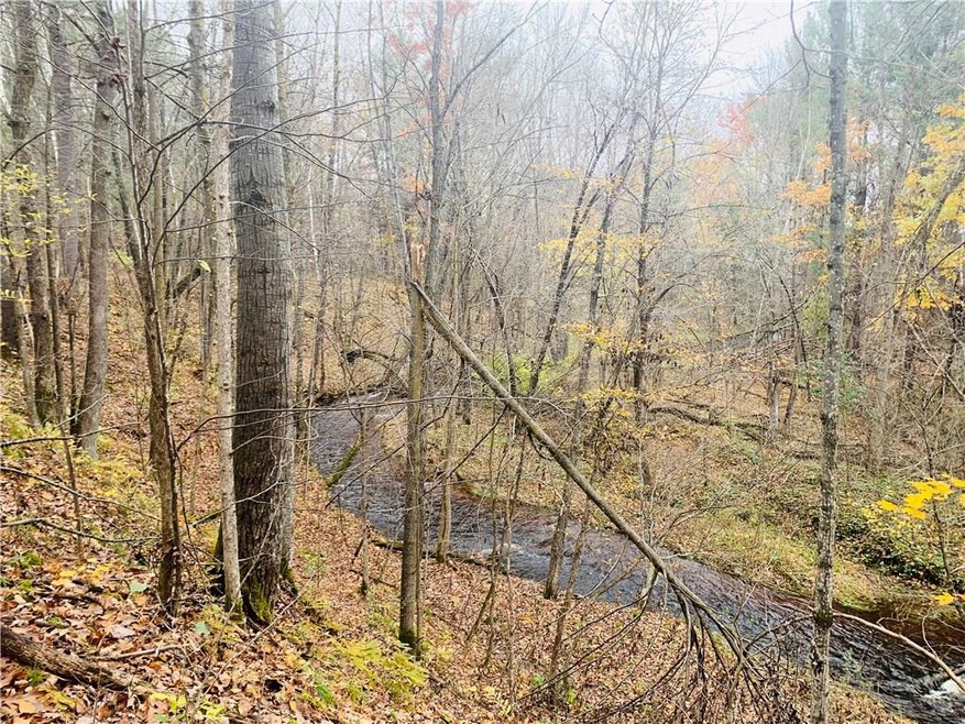 0 28th St unit 1537139, Chetek, WI 54728 - photo 1