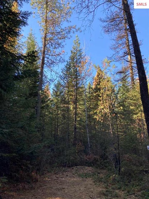 Sold • Co-Listing Agent