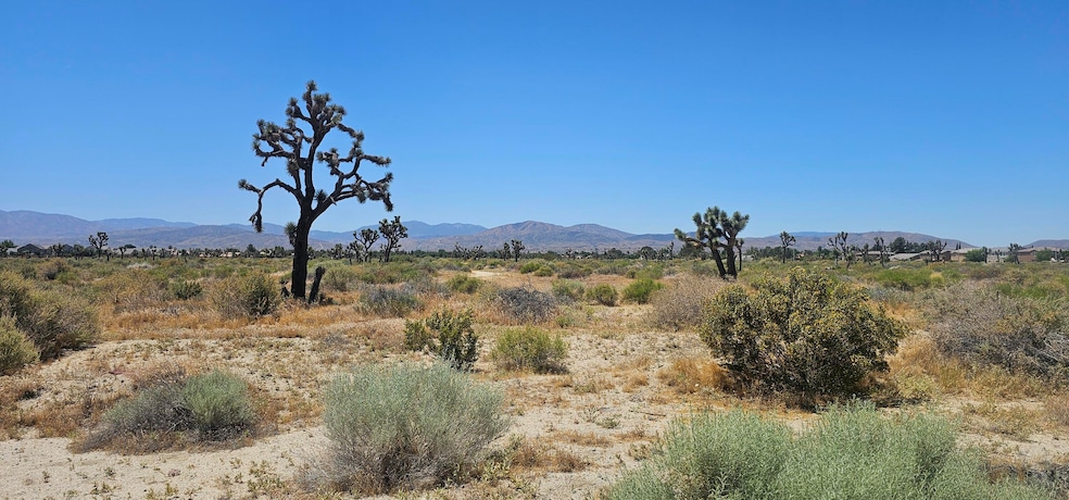 0 Palmdale Blvd 55th St E, Palmdale, CA 93550 - photo 1