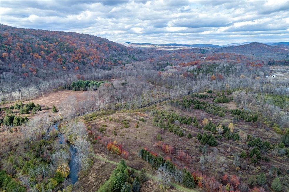 0 Leedsville Rd unit H5116381, Amenia, NY 12501 - photo 1