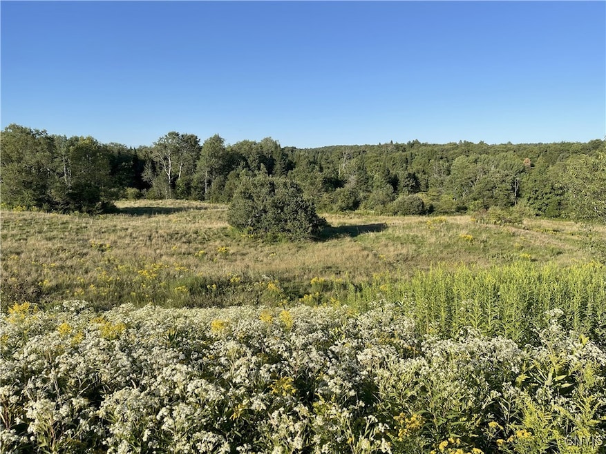 0 Weiler Rd unit S1631326, Lewis, NY 13325 - photo 1