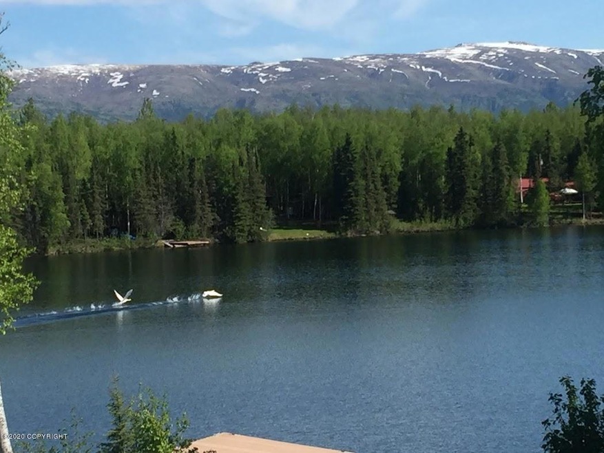 Paradise