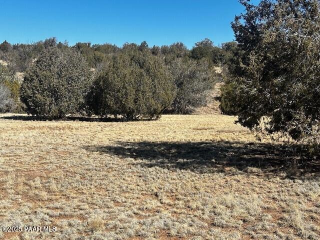 32412 Ancho Rd, Seligman, AZ 86337 - photo 1
