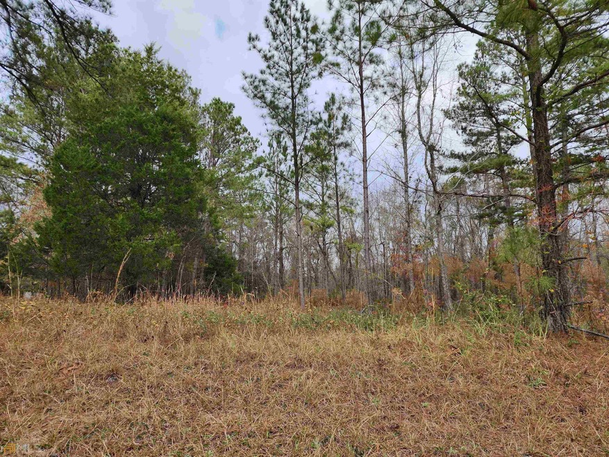 0 Georgia 74, Forsyth, GA 31029 - photo 1