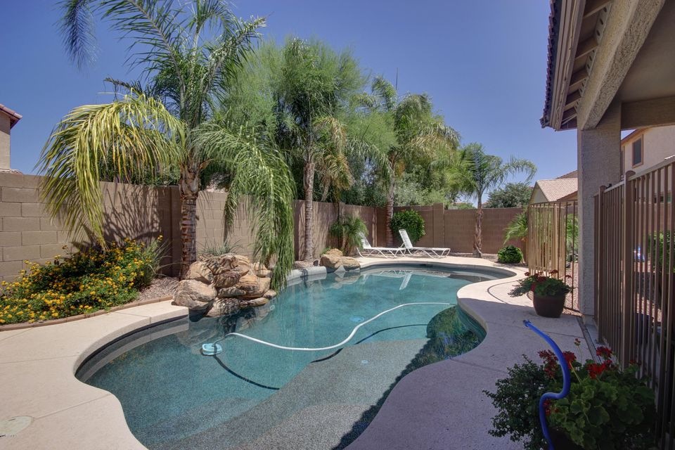 Pool with Lush Landscaping