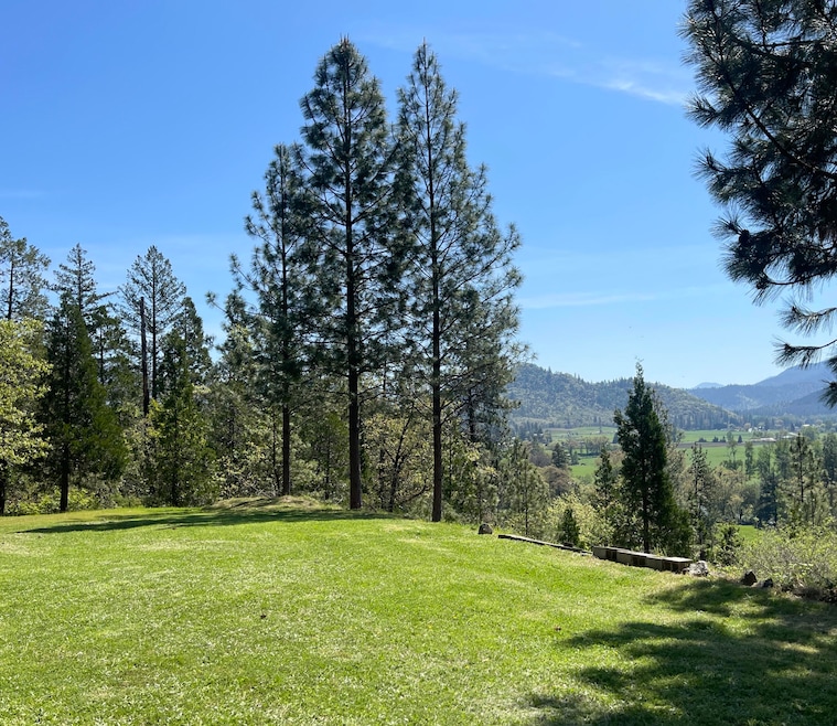 Lawn view left