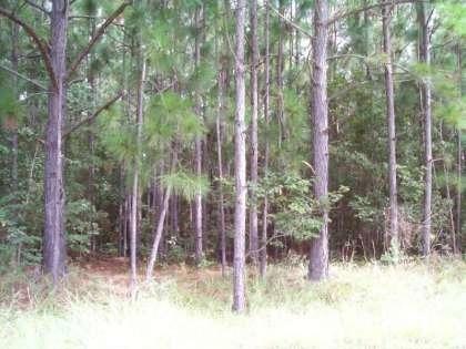 0570504031-image1