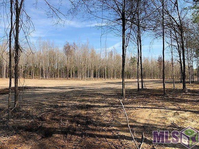 1711 Midway Rd, Slaughter, LA 70777 - photo 1