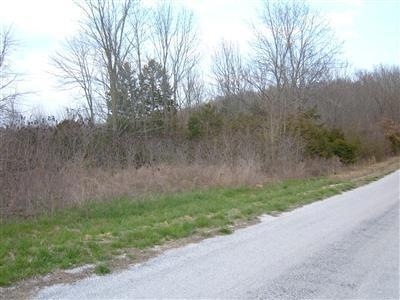 0 Bilyeu Ridge unit 10903126, Ozark, MO 65721 - photo 1
