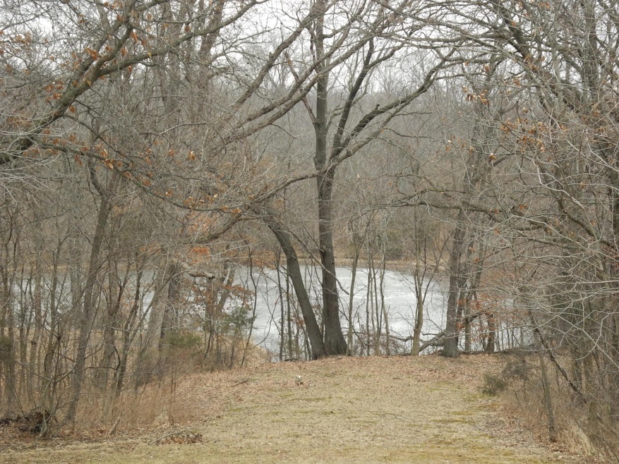 View of Lake from backyard