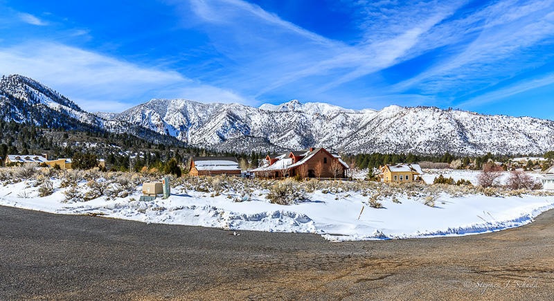 001_Spring Creek Pines_Lot#11_Pine V