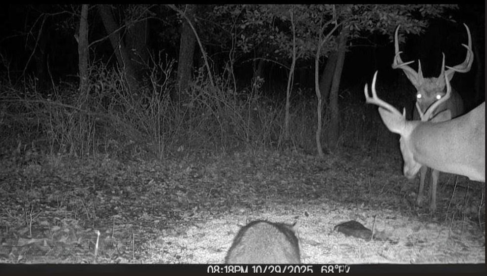 For Sale $550,000 • Co-Listing Agent