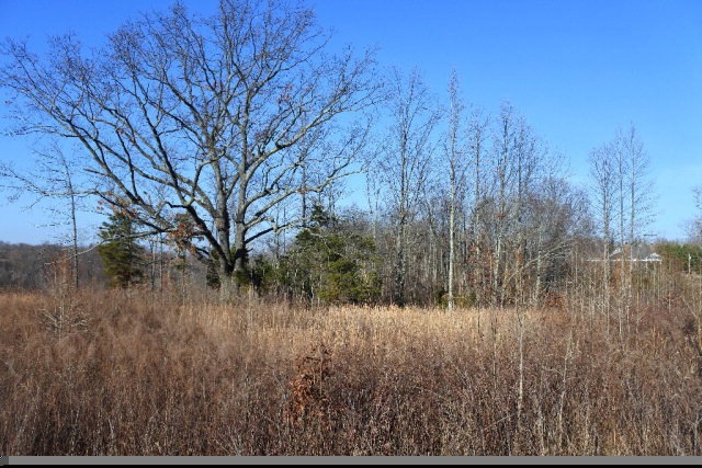 4874 Fox Knob Ln, Cookeville, TN 38506 - photo 1