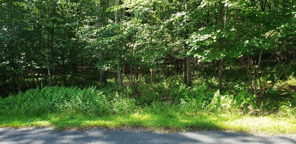 1020 Sierra Ct, Hawley, PA 18428 - photo 1